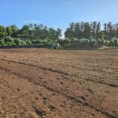 경호농장 이미지