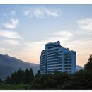 비바체(7대) 한국경제