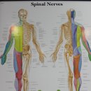 튼튼한의원 이미지