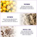 더피올라 | 파라다이스그레인액션 추천, 여름준비 몸매관리 피올라랩 후기