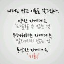 화랑 태권도 이미지