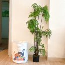 한스하우스 이미지