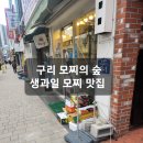 모찌의숲 이미지