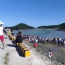 접도어촌체험마을 이미지