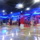 스키니짐 이미지