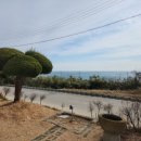 통일로 토종순대국 | 경주 양남면 통일로토종순대국