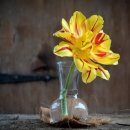 우리부동산공인중개사 이미지