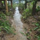 바쁜하루 이미지