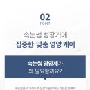 어니스트워터