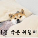개이득PC 네이버블로그