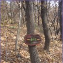 봉화산둘레길 이미지