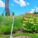 두발두발 | 성인 수동 킥보드 킥세이프 두발 퀵보드 입문 후기