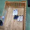 수원-0980 | 수원 영통 동물 먹이주기 체험 해피주 동물카페 솔직후기
