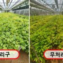 화천군 농업기술센터 네이버블로그