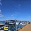 파레스 | [허니문추천]아바니 플러스 파레스 몰디브 4박 솔직후기 1탄