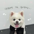 멍발소 하우스 이미지