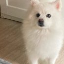 미가클래스3차 A동 | 단돈 이찬원에 구매했다 ㅋㅋㅋ (파워블로거의 길)