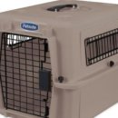 루비켄넬 이미지