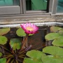 내화축산 이미지