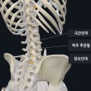 지우한의원 이미지