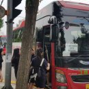 동구버스-1 이미지