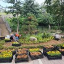 선부2동 행정복지센터 이미지