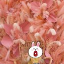 연기면_국립수목원(북쪽)보관소 | 국립세종수목원 사계절전시온실 후기 : 예약 입장료 관람시간 안내