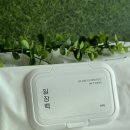 용일장 | [후기/배송] 디어커스 일장백 물티슈 #도톰한물티슈 #물티슈추천 #순수정제수