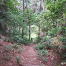 등너머약수터 이미지