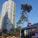 인천SK스카이뷰 112동 건너편 | 인천SK스카이뷰 인하대역 &#34;브대역 신평초&#34; 아파트