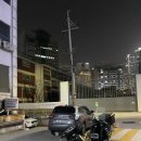 디엘르뷰티