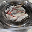 천송셀프 이미지