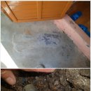 동방약국 이미지