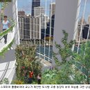 선은농장 이미지