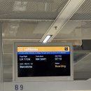 라파엘안경 | 바르셀로나에서 도난 당한 캐리어 기적적으로 찾은 후기