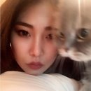 화장농장 이미지