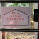 캣인큐브 이미지