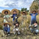 조현초등학교 이미지