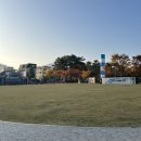 박씨떡방 - 안양시 만안구 태평로52번길 21 | 박씨떡방