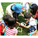 2012 유아 숲속학교(가을 분기) 모집 이미지