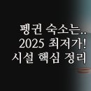 아일랜드 모텔 | 필립 아일랜드 숙소 | 2025년 펭귄 퍼레이드 근처...바비큐 수영장 편의 시설 정리 | 실제 경험 솔직 후기