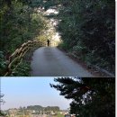 평지경로당 이미지