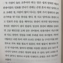 은영유통 이미지