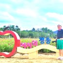 [2025. 9. 7. 일.]-[비. 24℃~33℃, 06:00~18:43]-[PUSU-] 이미지