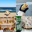 라라상사 | 가족여행 강릉 1박 2일 여행 일정 코스 부모님 모시고 다니기 좋은 여행 코스