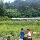 포도송이풀빌라 이미지