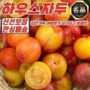 자두 - 부산진구 중앙대로 737 | 자두