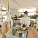 청년요가 이미지