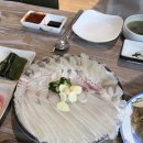 백궁자연산활어회전문 | 대구 상인동 맛집 동해횟집 달서구 횟집 물회 자연산모듬회 추천