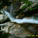 019-문산-019 이미지